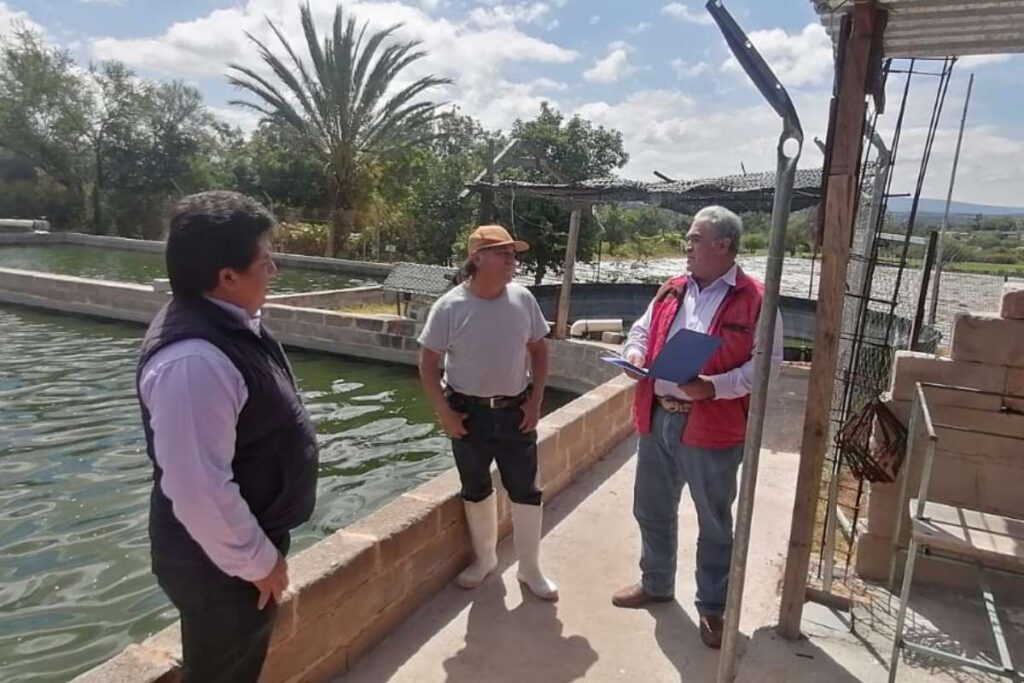 Este año, dos productores hidalguenses lograron premios en acuacultura rural y comercial, respectivamente 