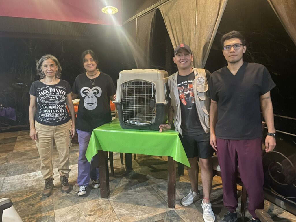 Unidad de Fauna Silvestre de Pachuca: ¿Cuántos animales han sido rescatados en este 2024?