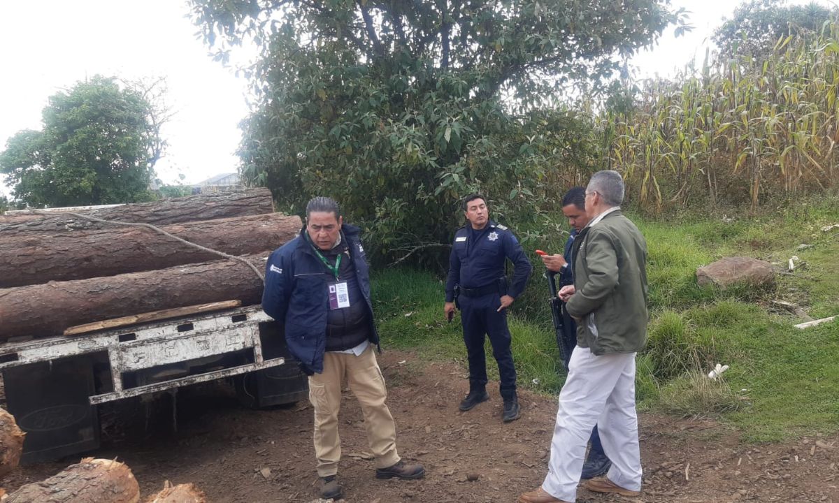 La Profepa realizó inspecciones y vigilancia en aserraderos de 13 estados con zonas forestales críticas | Foto: Lizania Zavala
