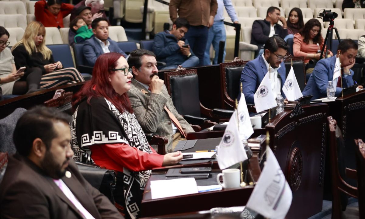 El Congreso avaló la creación de la Comisión Especial por unanimidad | Foto: David Martínez