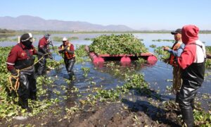 El saneamiento y recuperación de la presa Endhó es una acción prioritaria del gobierno de Hidalgo | Foto: Especial
