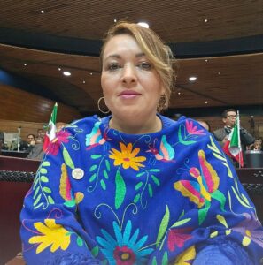  Yarabi González MartínezDistrito IX Metepec