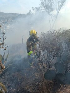Un total de 14 incendios de pastizales fueron controlados en Pachuca este lunes