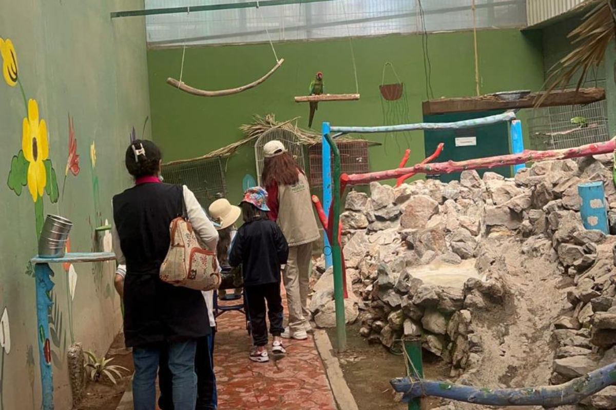 Taller temático en fin de semana sobre fauna silvestre, impartido en las instalaciones