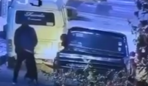 Colectivos exigen justicia por este caso de maltrato animal en Edomex