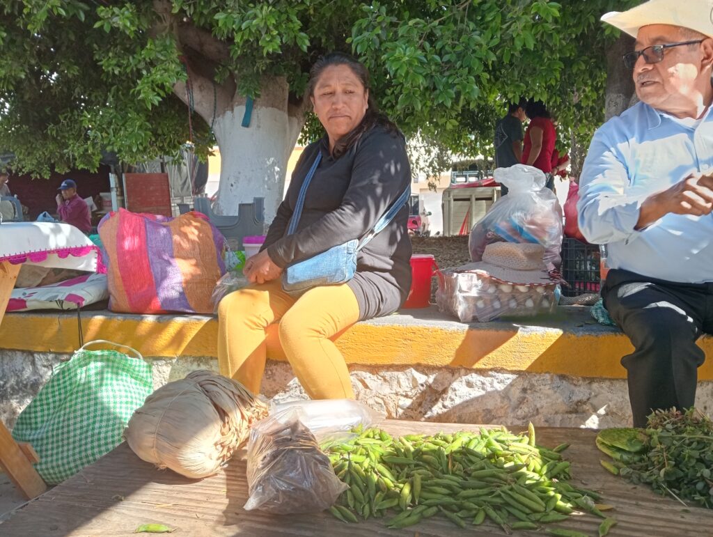 Violencia doméstica en Metztitlán: Elena, una mujer que lucha todos los días por sus hijos