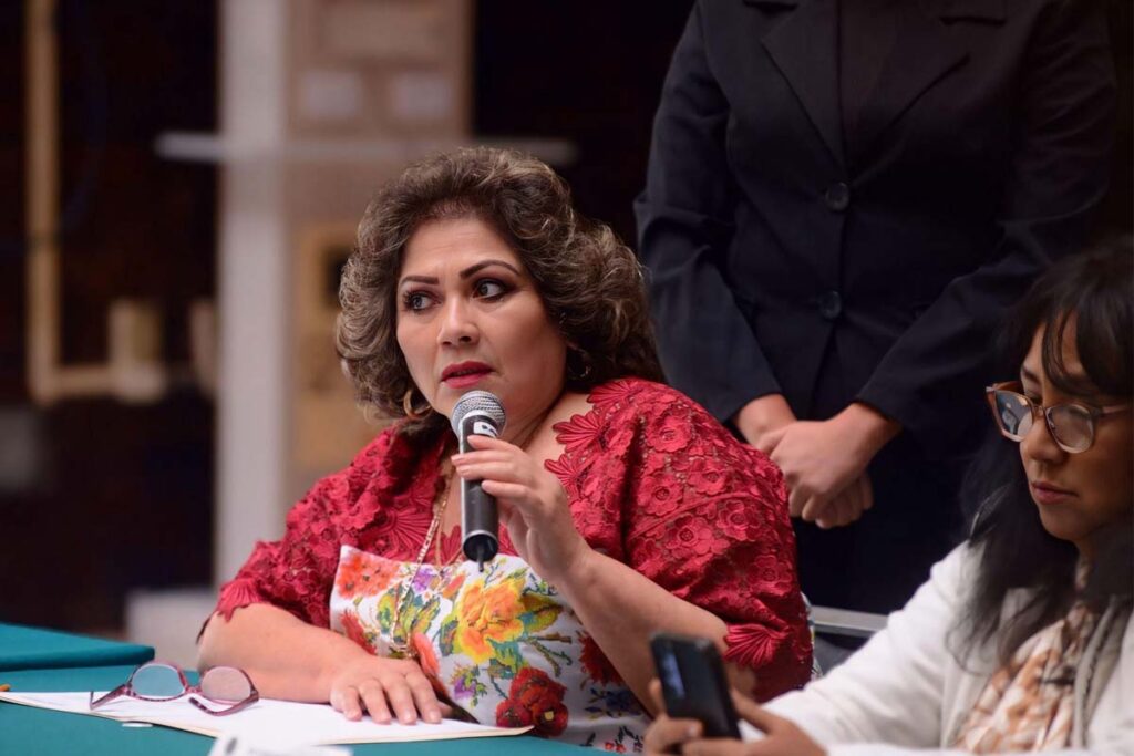 Ciria Yamile Salomón, representante del partido Verde, presentó cinco propuestas