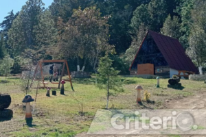 Descubre un refugio perfecto para ti y tu familia (mascotas incluidas)