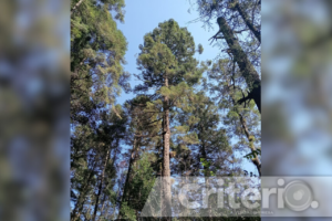 Conoce rocas emblemáticas, bosques reforestados y vistas inigualables