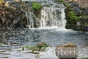 Cascadas, ríos y la belleza única de Acaxochitlán. ¡Un destino que te robará el aliento!
