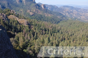 Sergio Gómez guía una experiencia única para conectar con la naturaleza