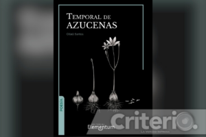 Temporal de azucenas: poesía que enuncia la lucha social desde una perspectiva feminista y LGBT