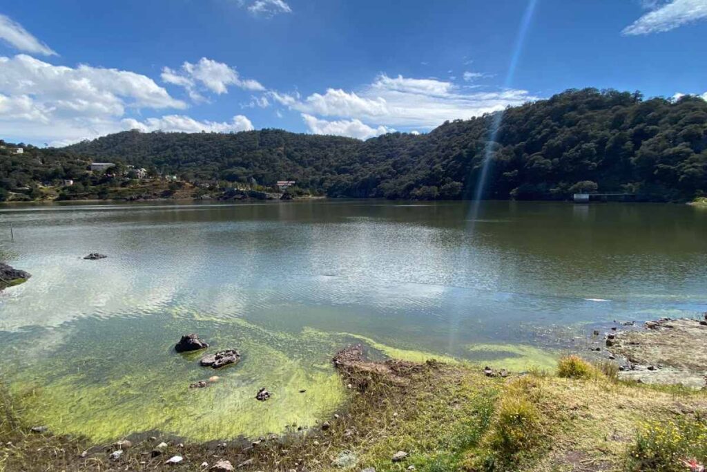 El ecosistema de la presa La Estanzuela poco a poco recupera el equilibrio 