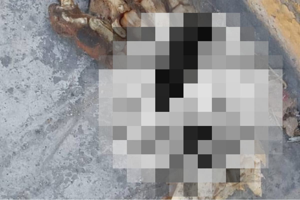Autoridades inspeccionan el sitio donde se reportaron presuntos restos humanos en Ixmiquilpan / Foto, Especial