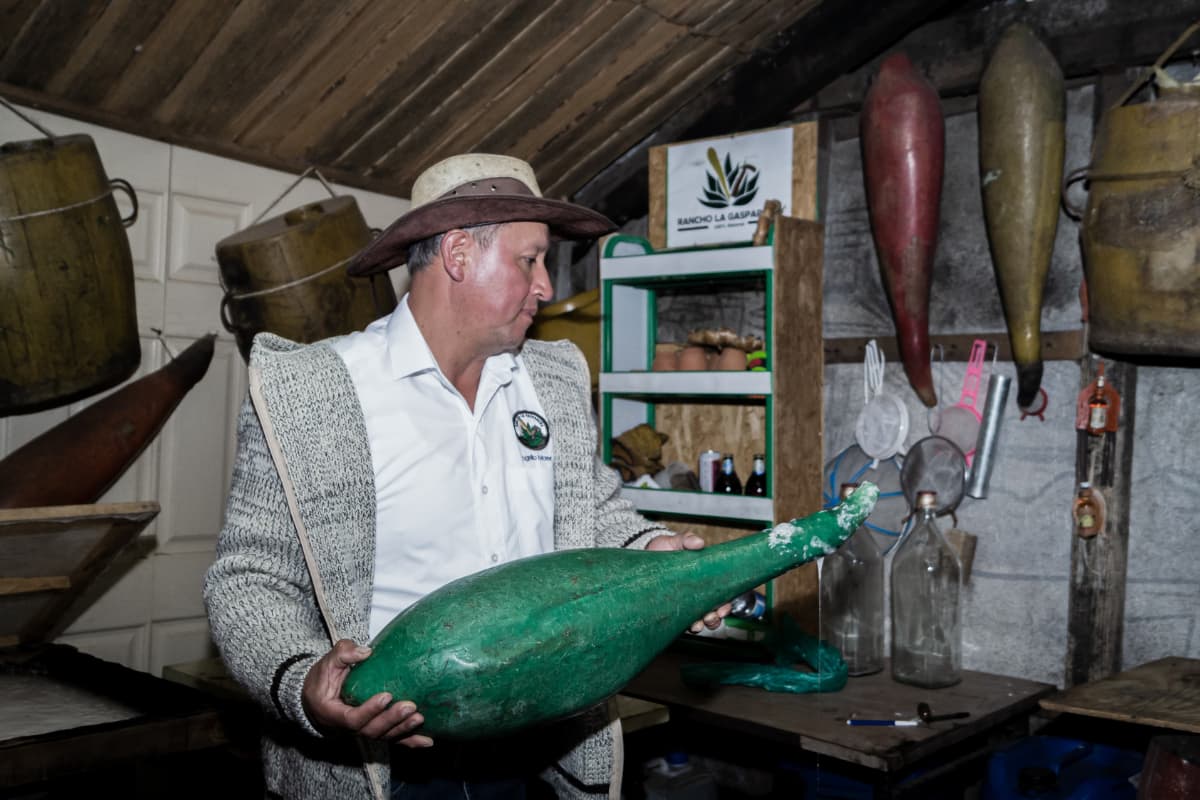 Los sabores únicos del pulque directo del tinacal esperan a los asistentes el próximo 2 de febrero en Singuilucan / Foto. Carlos Mercado