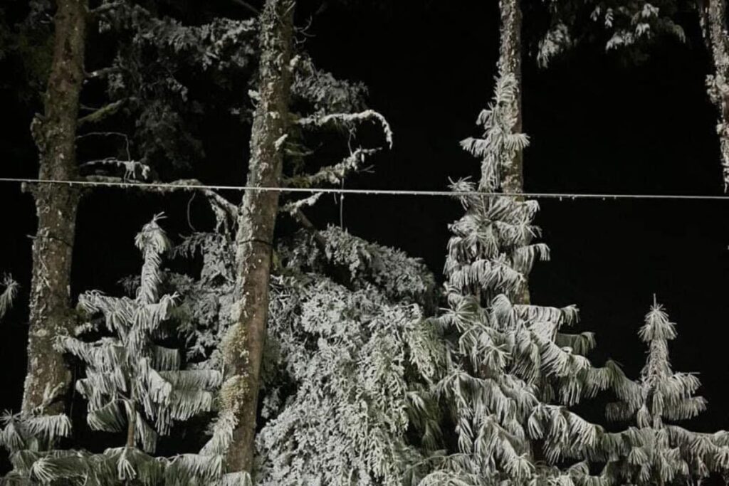 Paraques nevados en Agua Blanca, evidencia del impacto del frente frío 24
