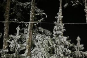 Las bajas temperaturas por el frío invernal provocaron suspensión de clases en Hidalgo