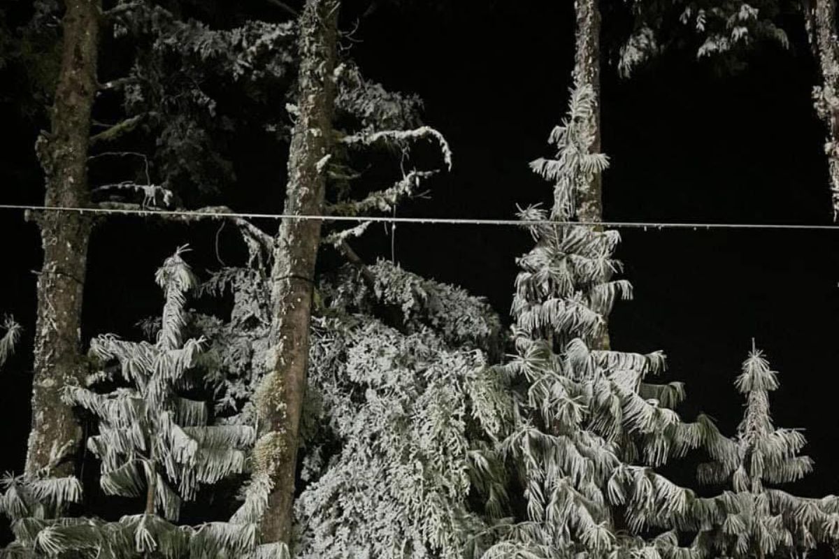 Paraques nevados en Agua Blanca, evidencia del impacto del frente frío 24