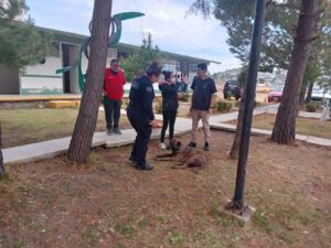 Ciudadanos se unieron para salvar al perrito atropellado en Tlanalapa