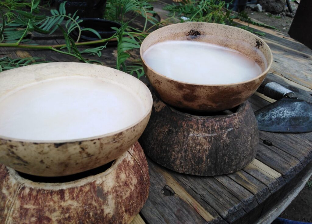Celebra el Día Nacional del Pulque en Singuilucan y conoce más sobre esta bebida