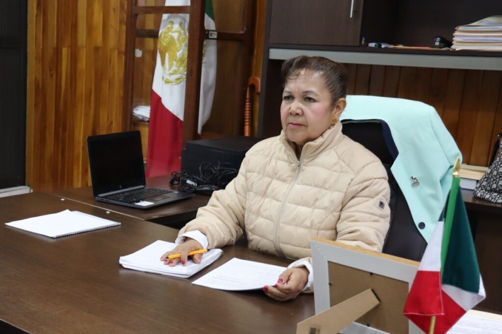 En septiembre pasado, a Teresa Olivares se le autorizó la firma de contratos, pero con la condición de que rindiera informes al Cabildo