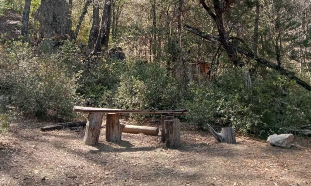 Descubre estos lugares de Hidalgo y vive un buen 2025 con una excelente compañía