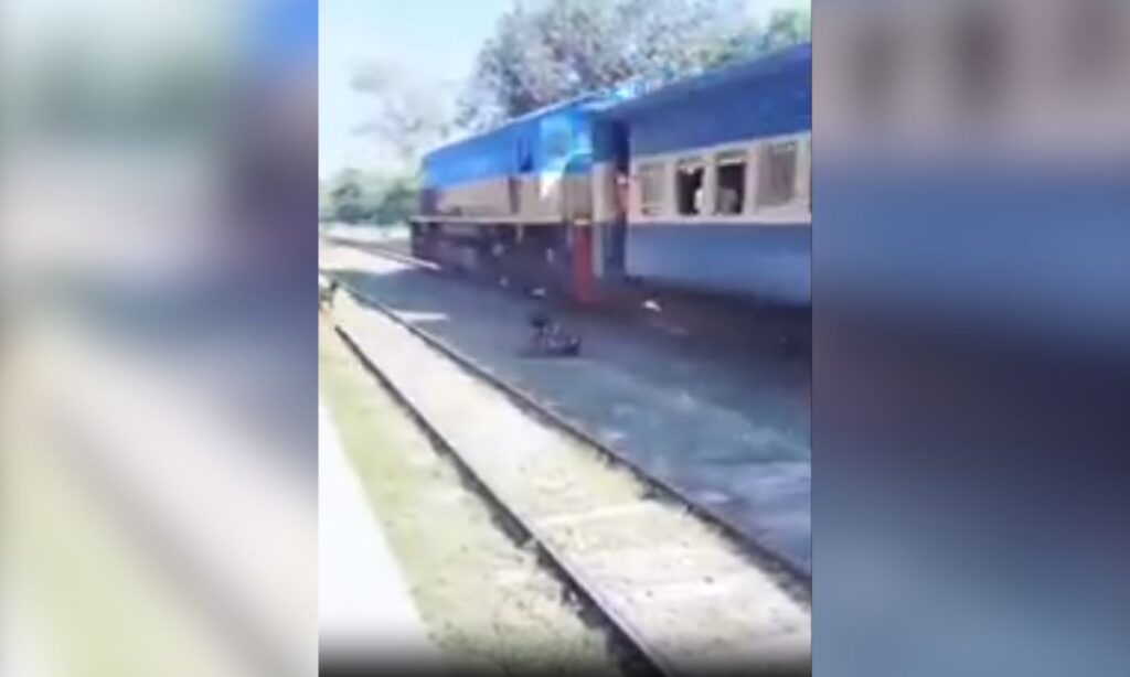 Mujer intenta rescatar a perro de las vías del tren, pero el resultado es trágico