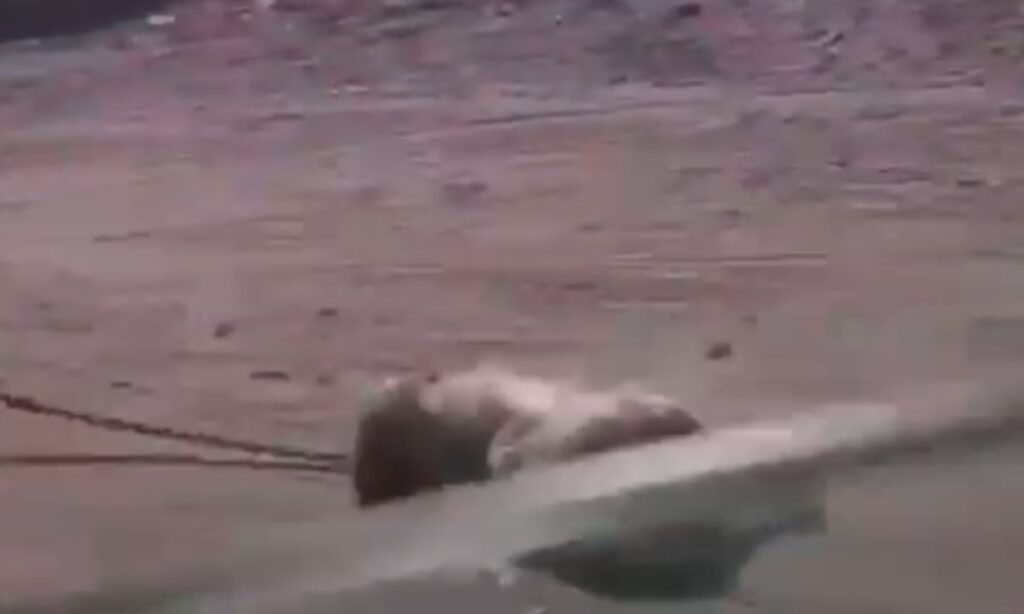 Nuevo caso de maltrato animal; Perro arrastrado por camioneta desata la indignación en las redes sociales
