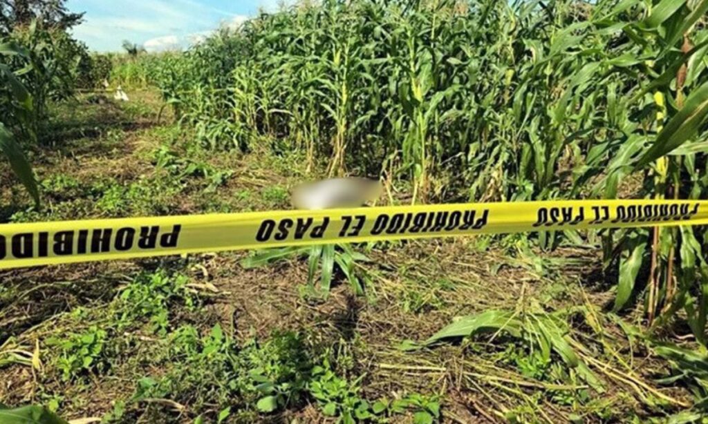 Periodista de Tabasco que fue reportado como desaparecido fue hallado sin vida