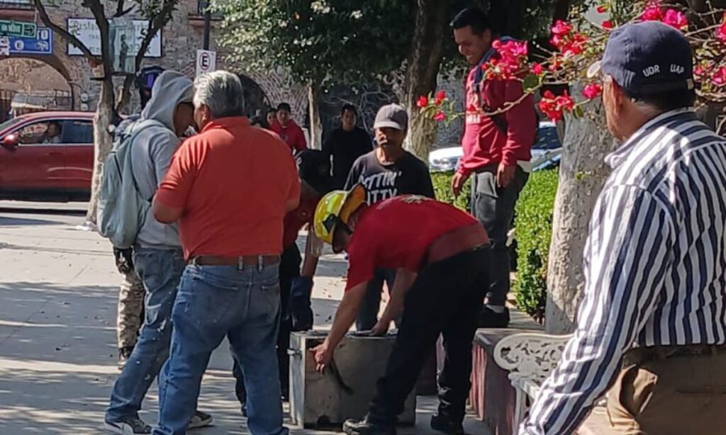 Tulancingo: Hallan en pleno centro a una serpiente, tras un reporte ciudadano