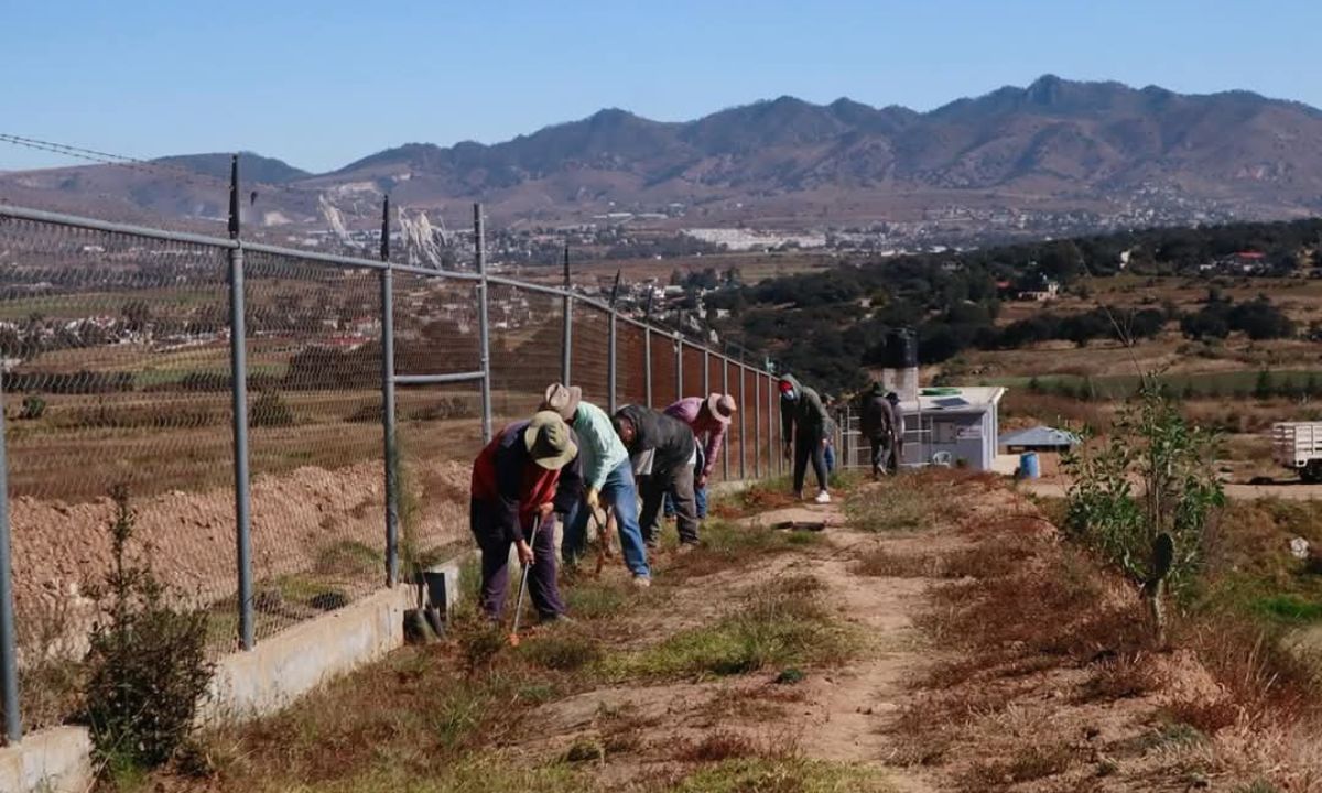 En 2024, se emprendieron acciones para que el relleno sanitario cumpliera con la normativa | Foto: Antonieta Islas
