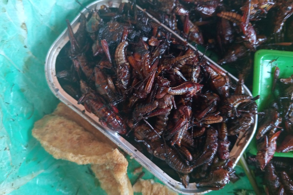 La sardina pequeña de chapulines cuesta entre 10 y 20 pesos | Foto: Martha Sáenz