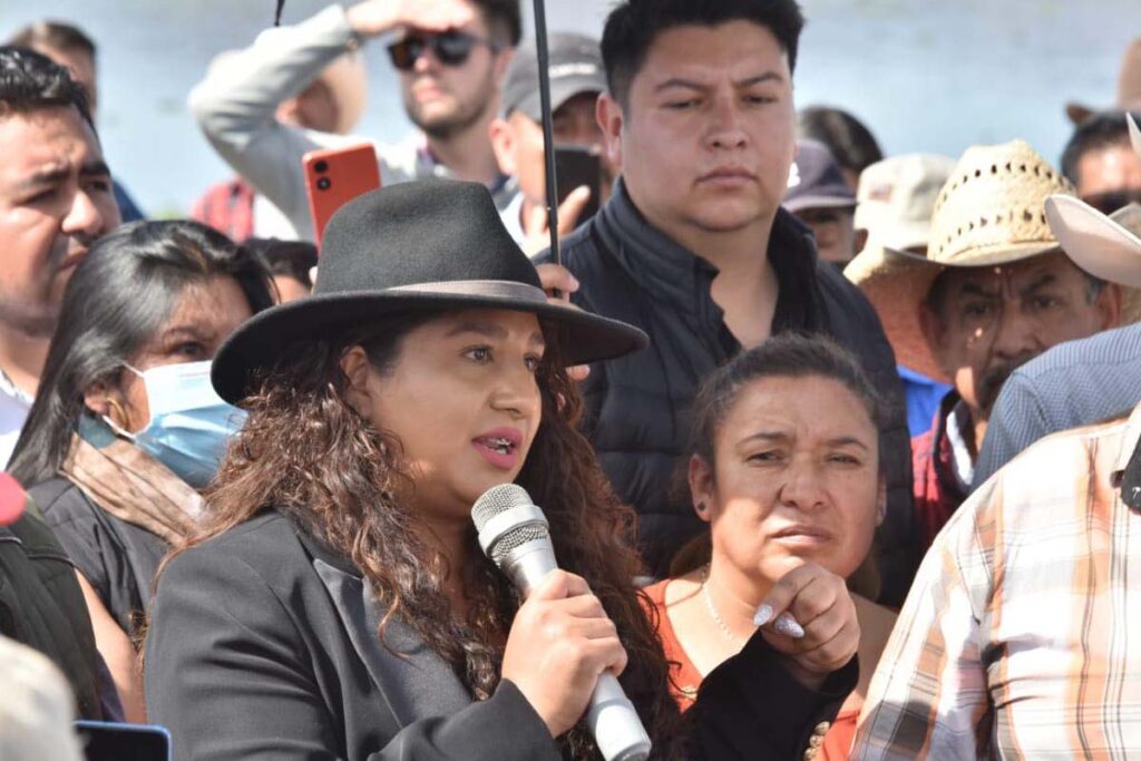  Ana Elsa Castillo Cea, presidenta municipal de Tepetitlán