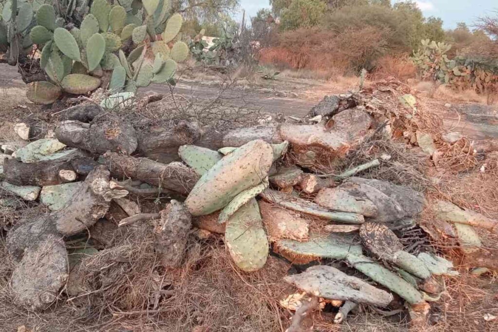 Acusan que la Central Campesina Independiente busca invadir el predio