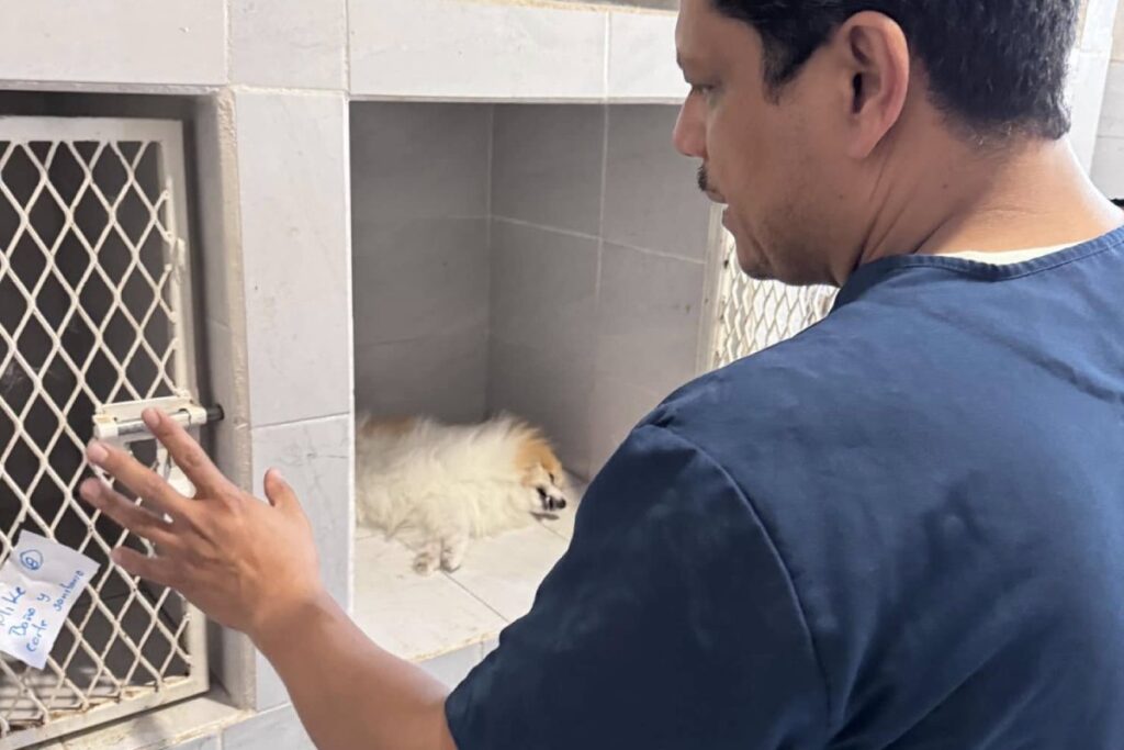 Acusan maltrato animal en veterinaria de Pachuca