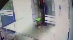 Maltrato animal: Autoridades son presionadas para intervenir en este indignante caso de violencia contra un perro