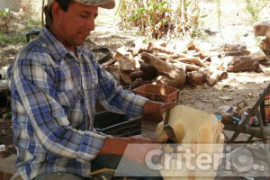 Los carnavales en Hidalgo tienen raíces prehispánicas y coloniales, fusionando tradiciones indígenas con elementos festivos traídos por los españoles