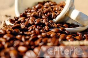 La marca que resalta la trazabilidad y la pureza del café hidalguense a nivel nacional