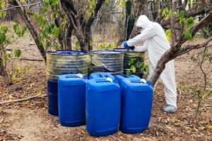 Operativo en Sinaloa: autoridades mexicanas decomisan 200 kilos de metanfetamina y más de 12 mil litros de sustancias químicas para su producción