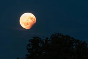 El primer eclipse lunar total del 2025 será visible en México y otras partes del mundo.