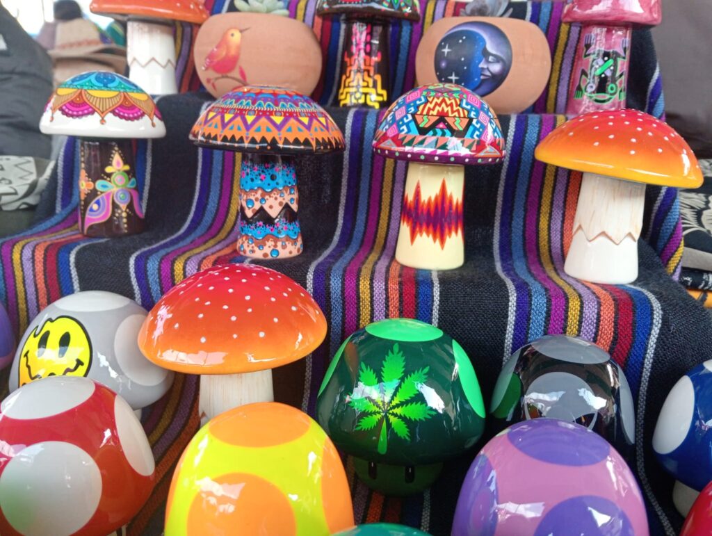 Omitlán: Diego se dedica a vender figuritas en forma de hongo; conoce un poco más de su trabajo