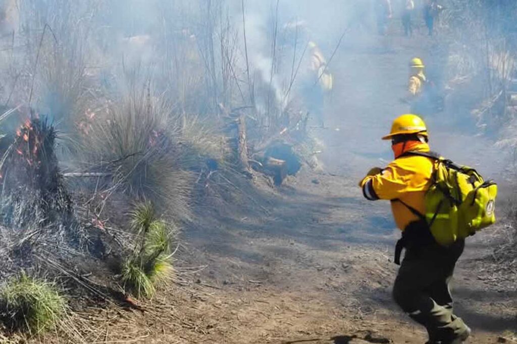 Bomberos promueven entre la población que está prohibido encender fogatas en zonas forestales