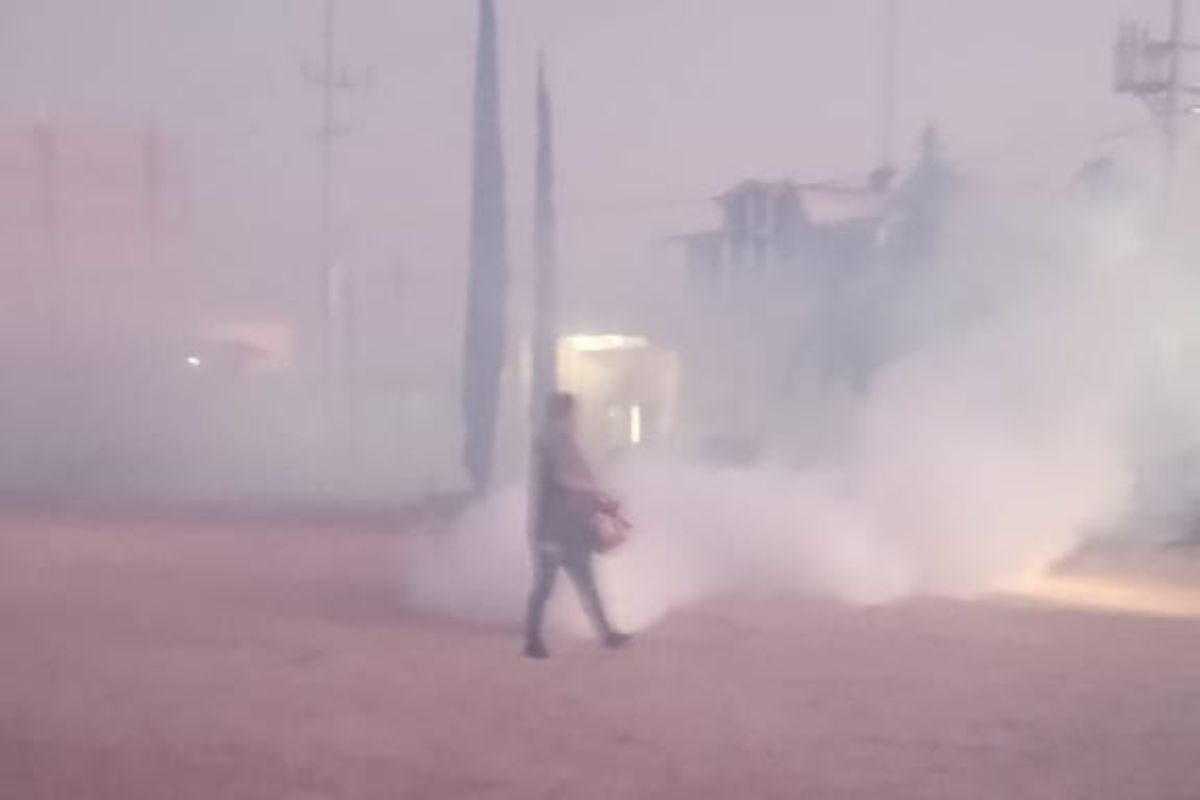 El delegado insistió en que el zancudo ya se hizo resistente a los insecticidas | Foto: Especial