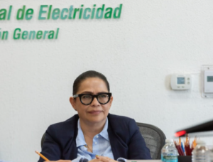 Con estas inversiones, la CFE busca mejorar la eficiencia y confiabilidad del servicio