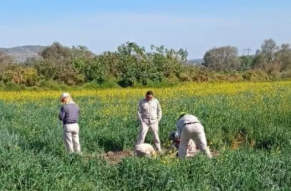 Autoridades de Tlaxcoapan controlan la fuga de hidrocarburo generada por una toma clandestina. Foto ilustrativa