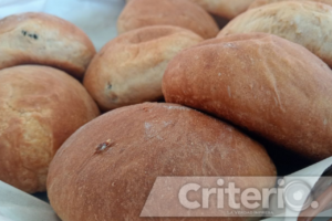 Algunas versiones del pan de pulque incluyen sabores como queso, cahuiche, nata y requesón, ampliando la variedad de opciones