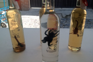 Las botellas de mezcal tienen alacranes o tarántulasFoto: Martha Sáenz