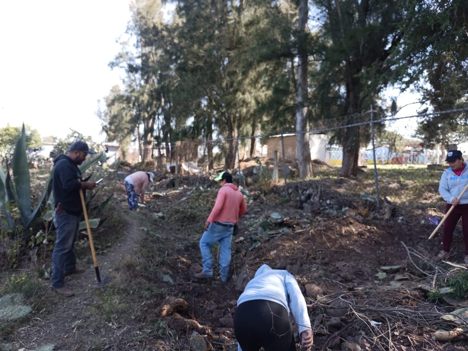 Padres de familia organizan brigadas para revisar magueyes y nopales en busca de serpientes.