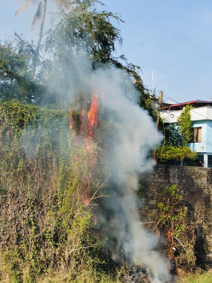 Seguridad Pública y Guardia Nacional apoyaron en la emergencia por incendio