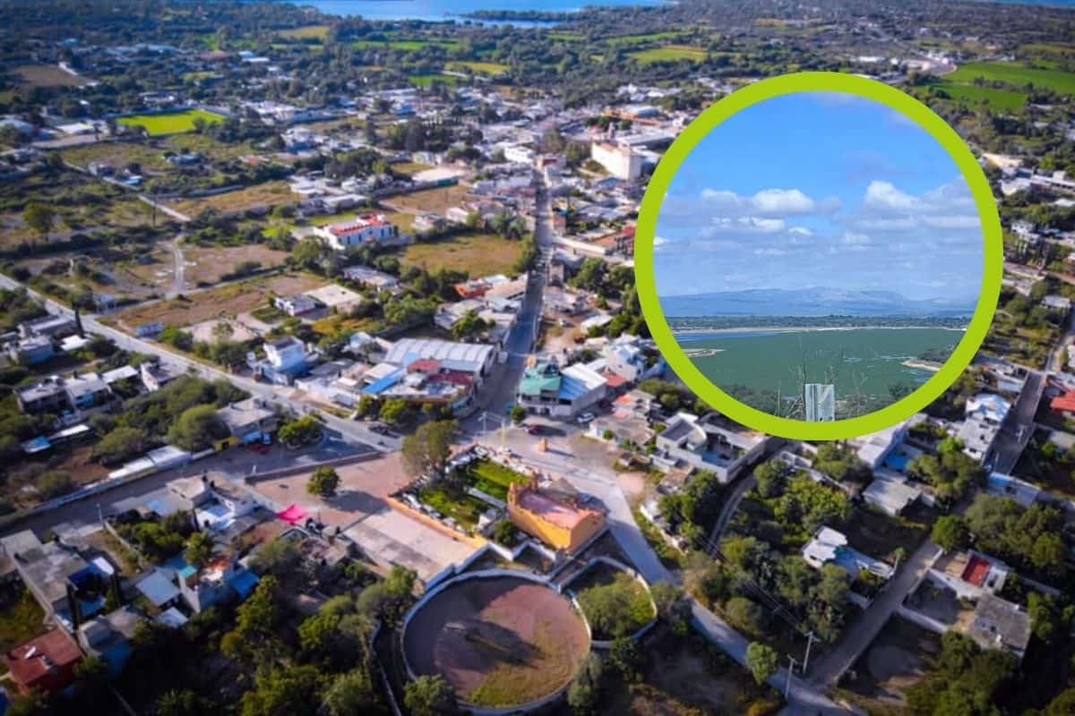 Presa de Alfajayucan contiene lirio acuático; piden ayuda para erradicarlo